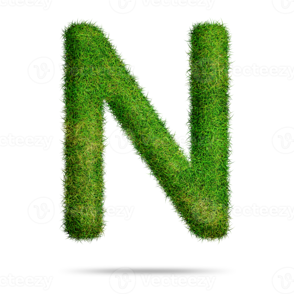 Green grass alphabet letter n for education concept png