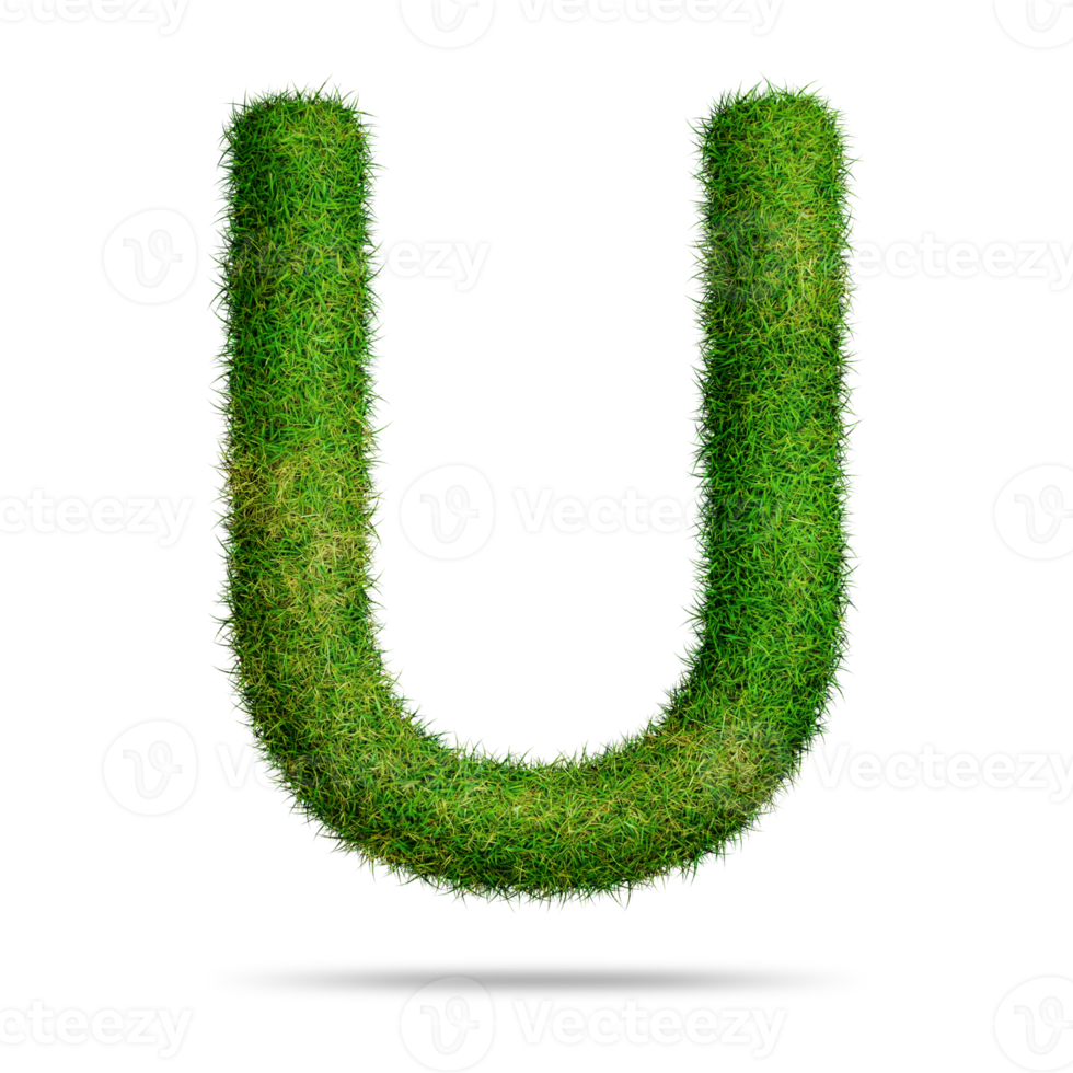 Green grass alphabet letter u for education concept png