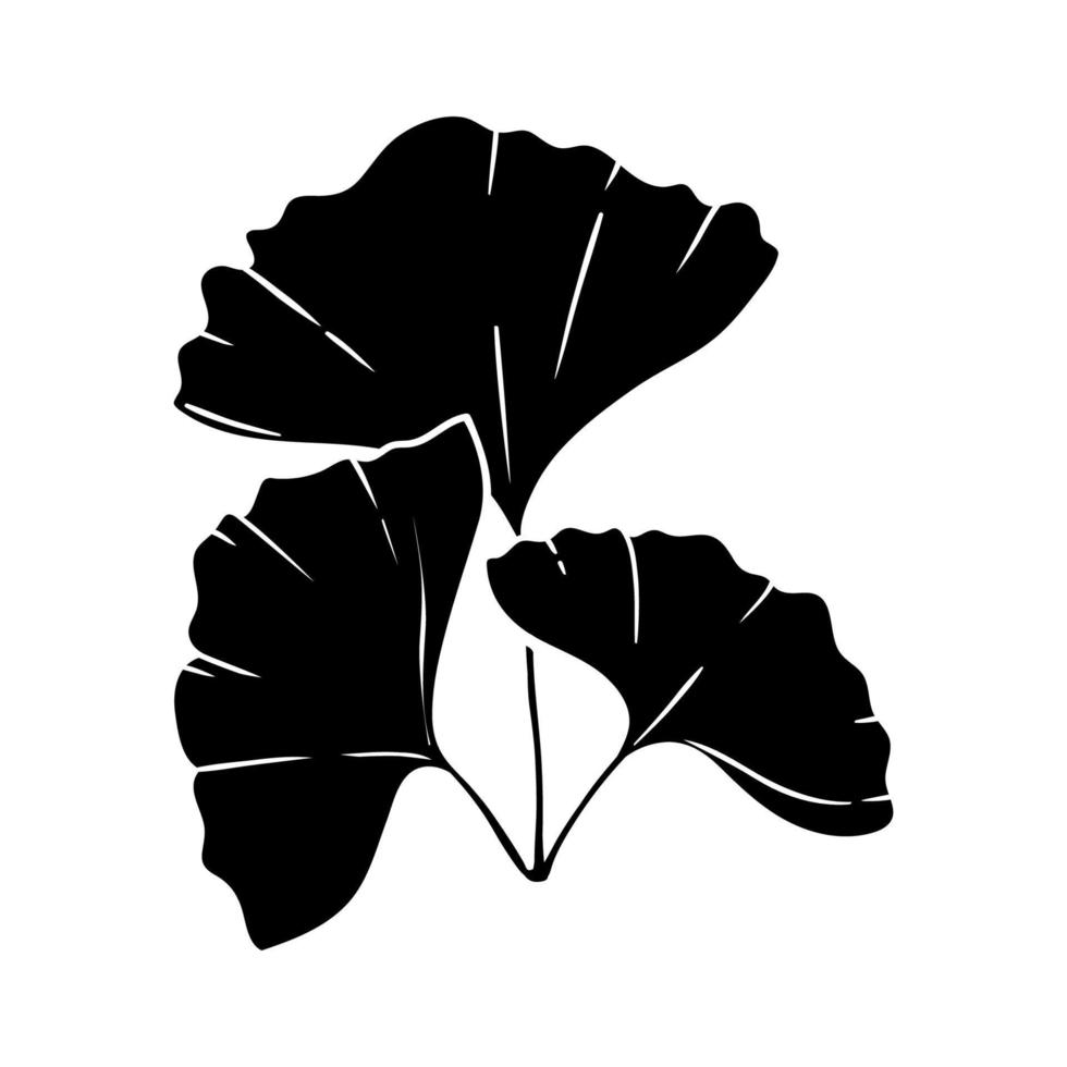 Ginkgo biloba silhouette 3 leaf icon. Medical plants icon, leaves icon. vector