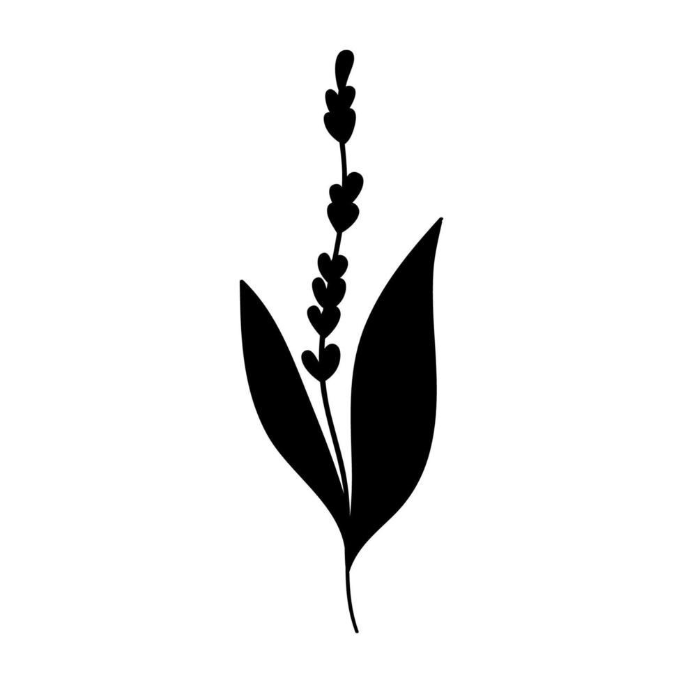 Herbs and leaves. Lily of the valley or large leaves and flowers silhouette twigs. For cards, invitations botanical pattern vector