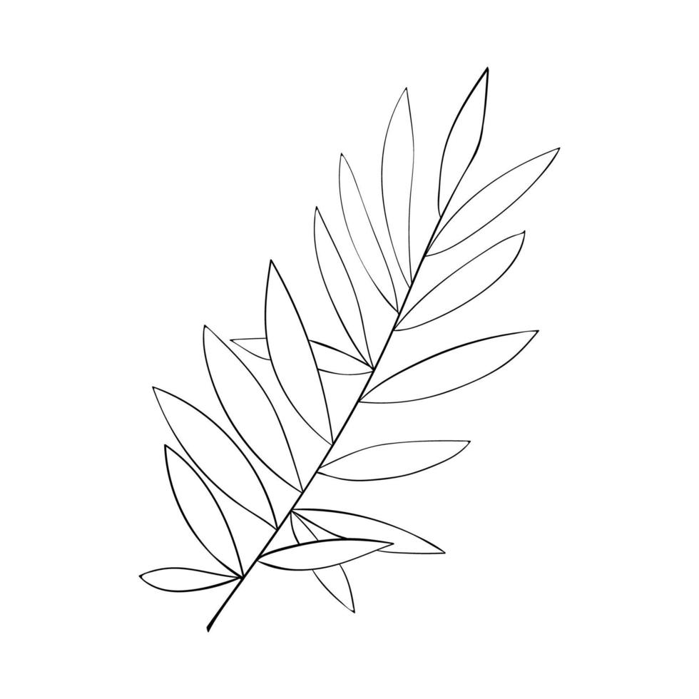 Herbs and leaves. Lots of leaves line art twigs. For cards, invitations botanical pattern vector