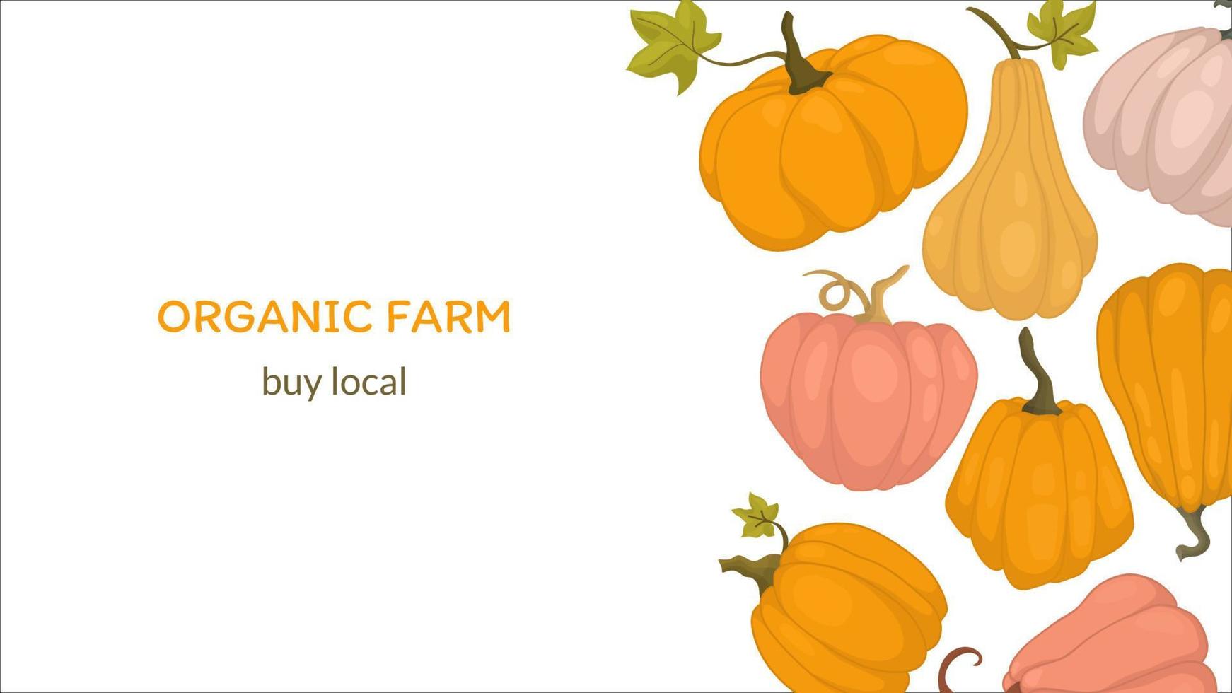Banner with pumpkins horizontal. Autumn background A4. Pumpkin cartoon for organic farm vector