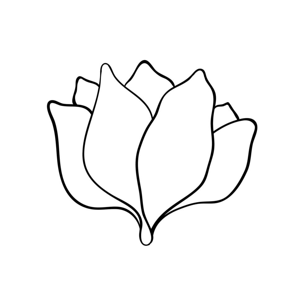 Big flower bud. The head of a flower is part of a plant. botanical drawing vector