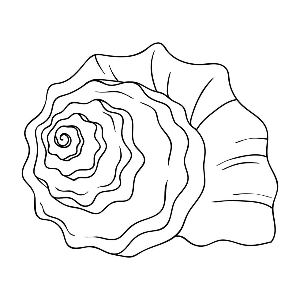 Large sea shell linear simple icon. Shell as a symbol of harmony, marine animals vector