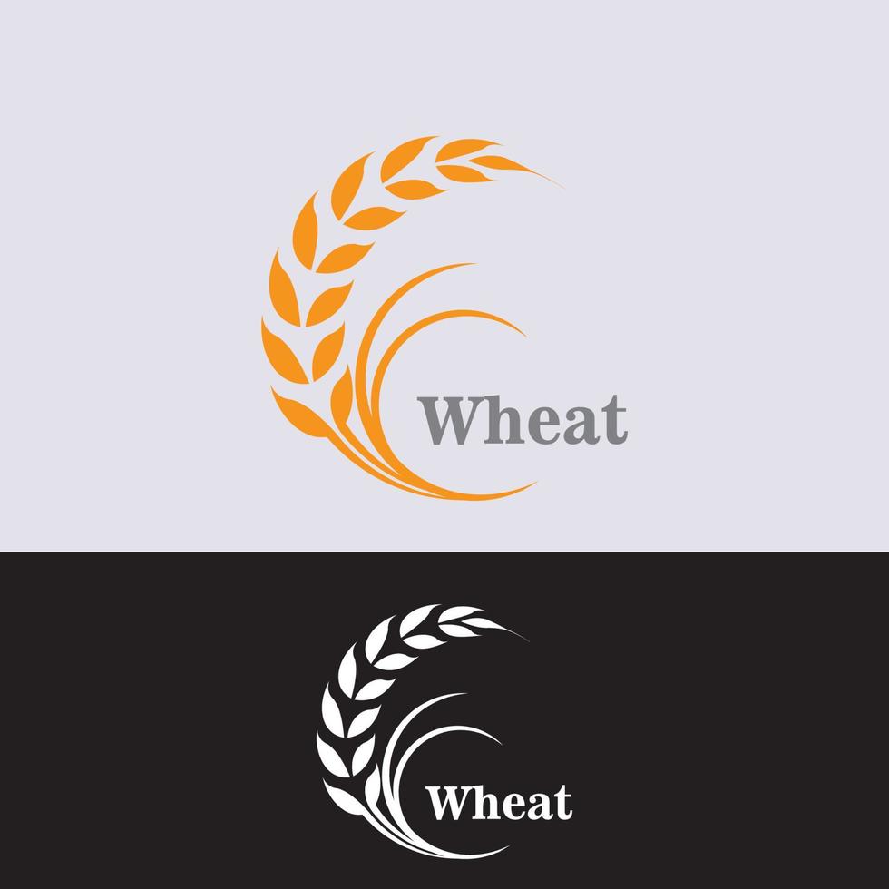 Wheat grain agriculture logo design for bakery business template vector