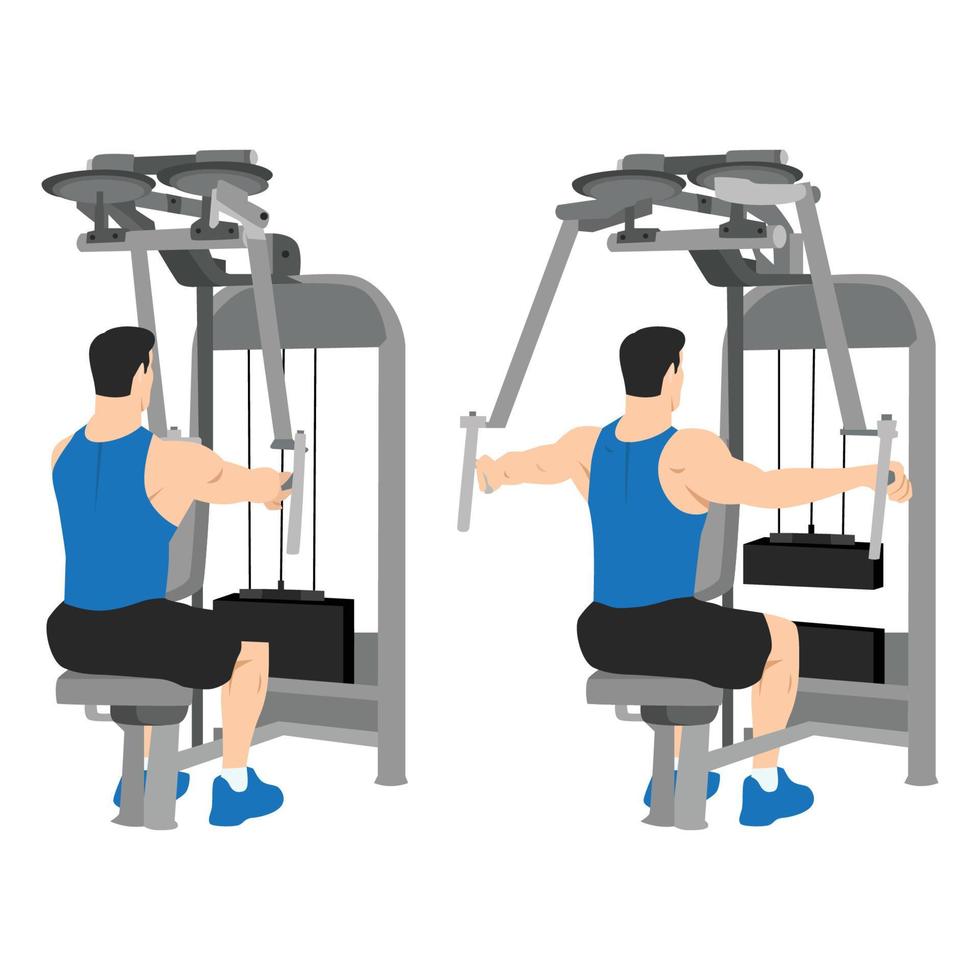 Man doing rear delt machine flyes exercise. vector