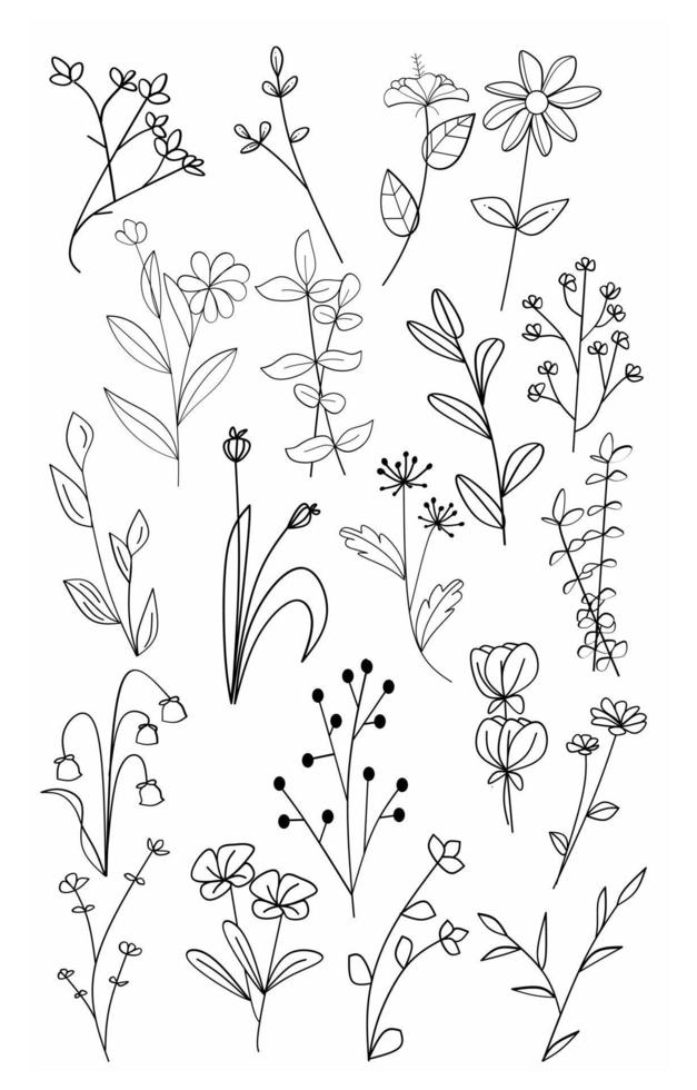 conjunto de floral rama y minimalista hojas para logo o tatuaje. mano dibujado línea Boda hierba, elegante flores silvestres mínimo línea Arte dibujo para imprimir, cubrir o fondo de pantalla 22915666 Vector conjunto-de-floral-rama-y-minimalista-hojas-para-logo-o-tatuaje-mano-dibujado-l-nea-boda-hierba-elegante-flores-silvestres-m-nimo-l-nea-arte-dibujo-para-imprimir-cubrir-o-fondo-de-pantalla-22915666-vector