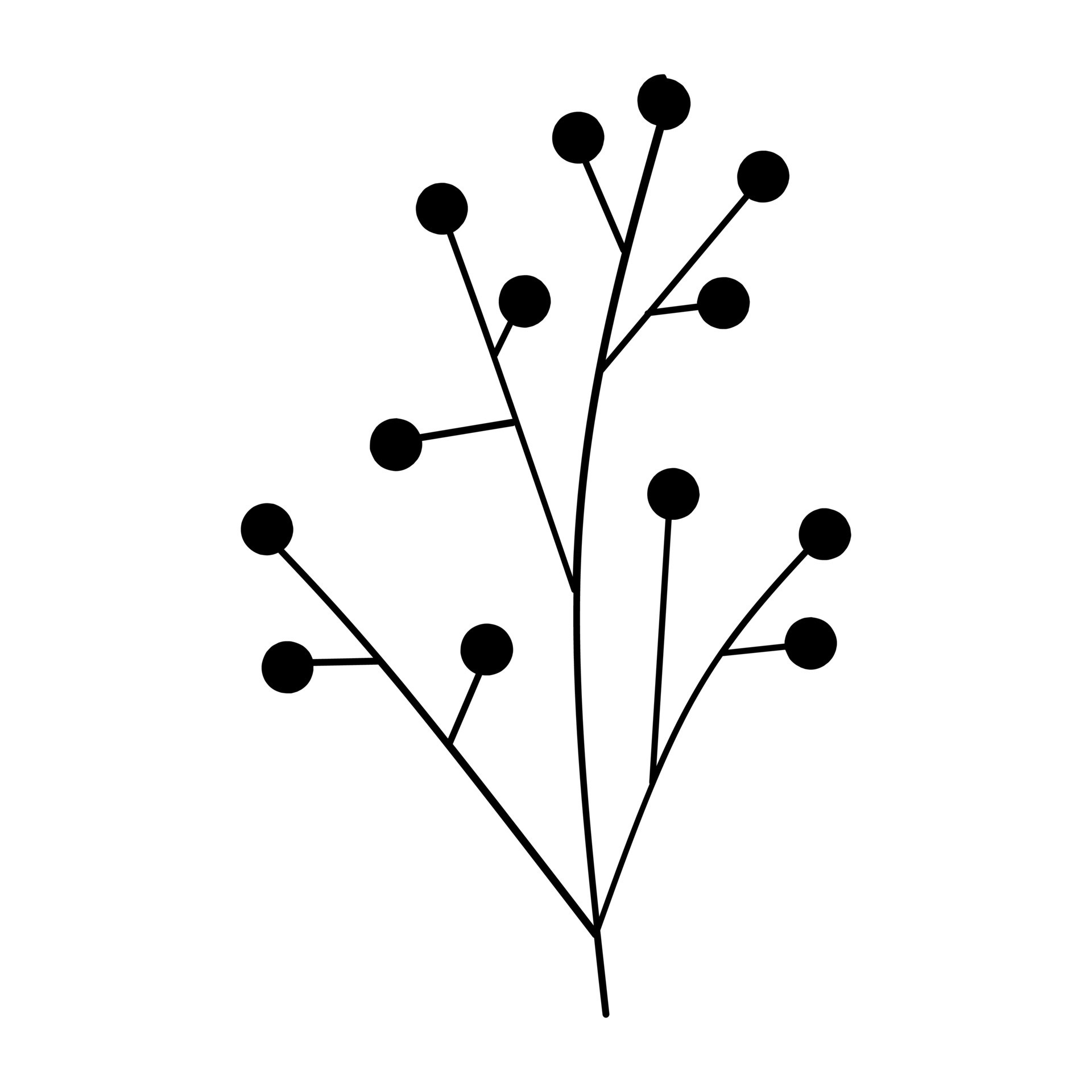 Cute botanical vector illustration outline hand drawn style design