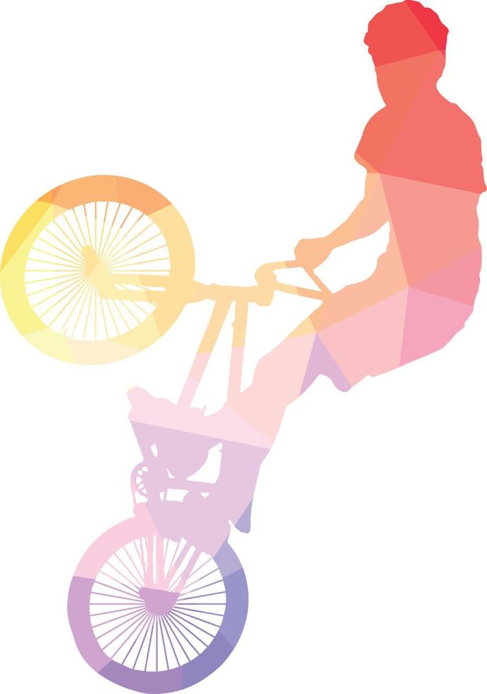 Colorful Silhouette Of A Bmx Biker vector