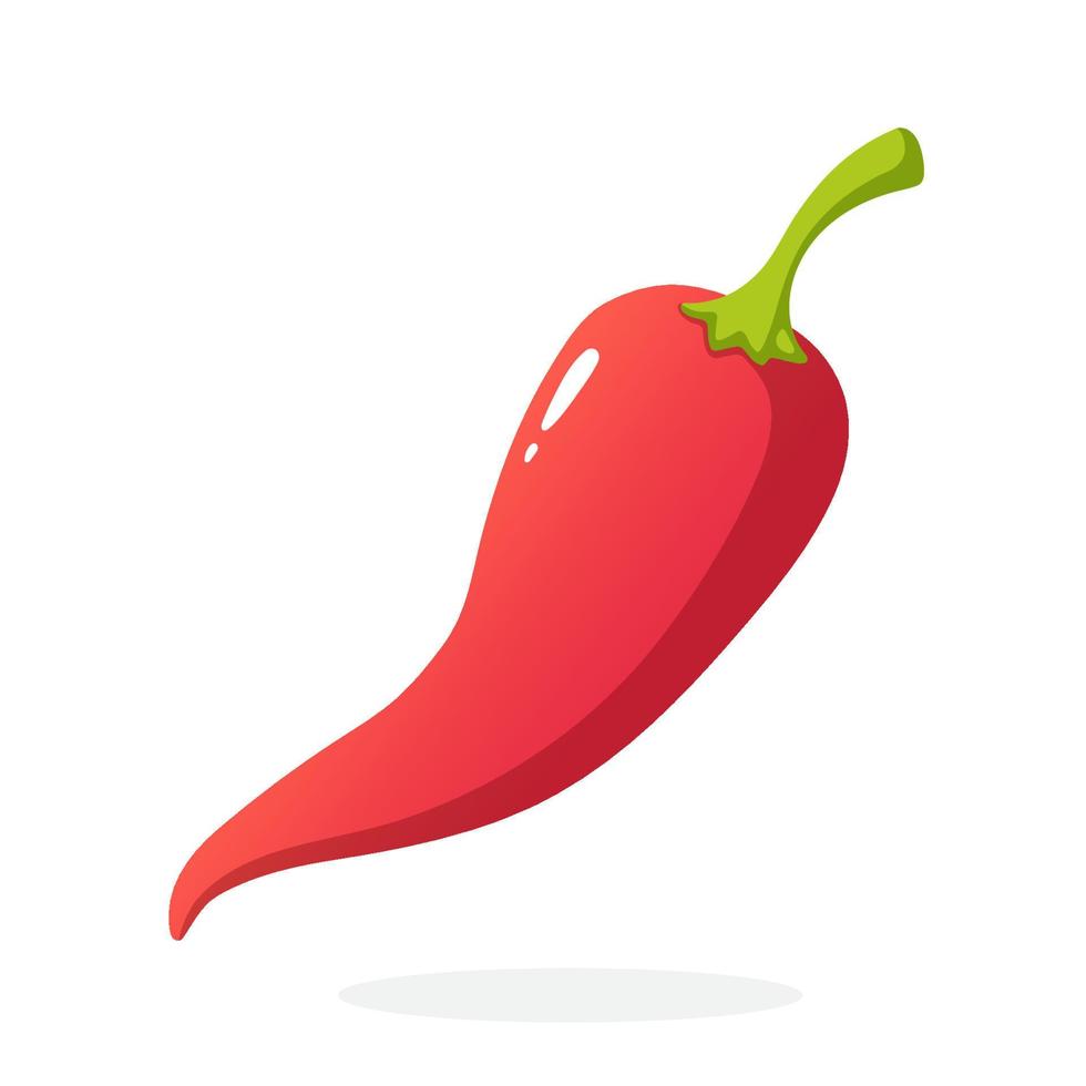 Red spicy hot chili pepper with a stem vector