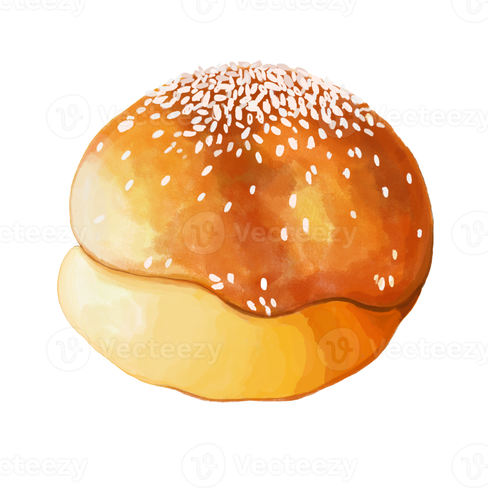 acuarela y dibujo para un pan y hamburguesa bollos, digital pintura de hecho en casa panadería, postre y comida ilustración. png