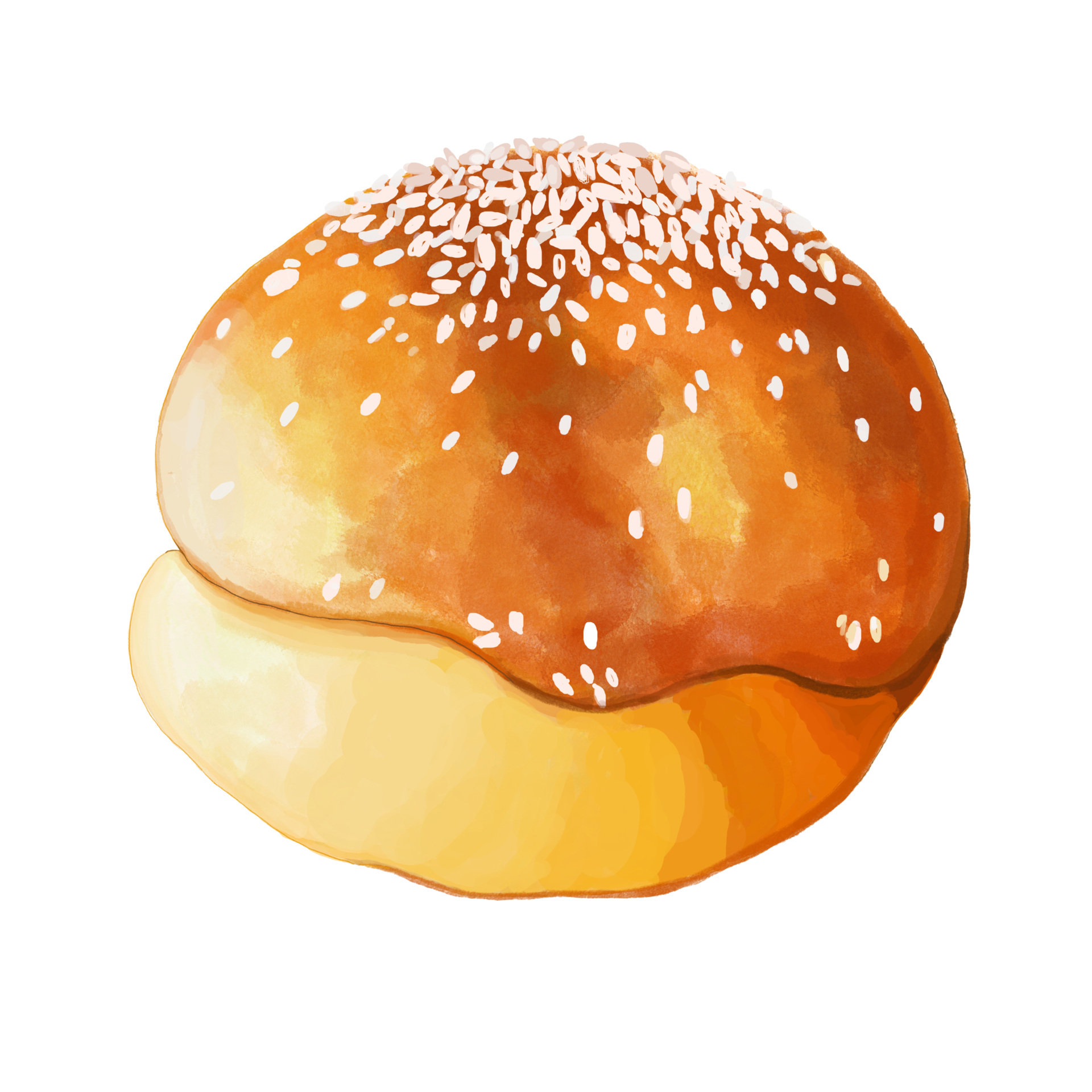 Watercolor and drawing for bread and Hamburger buns, Digital painting
