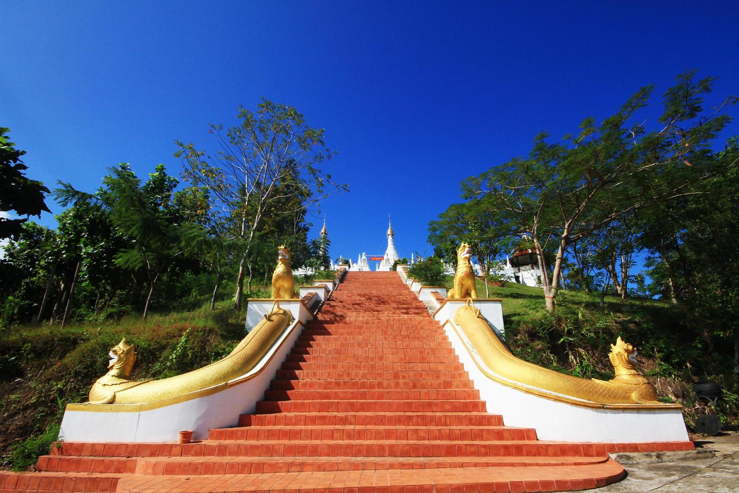 Beautiful golden naga sculpture on rail stair at Phra That Doi Kong Mu Temple on the mountain at Meahongson Province, Thailand photo