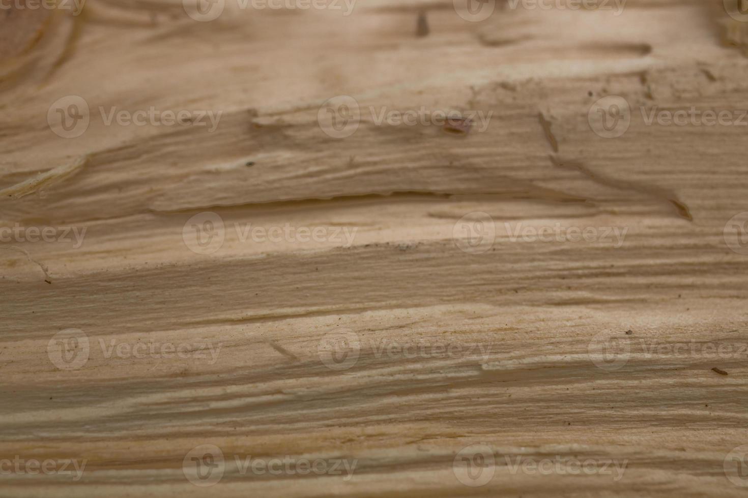 Tree trunk after being cut, background photo