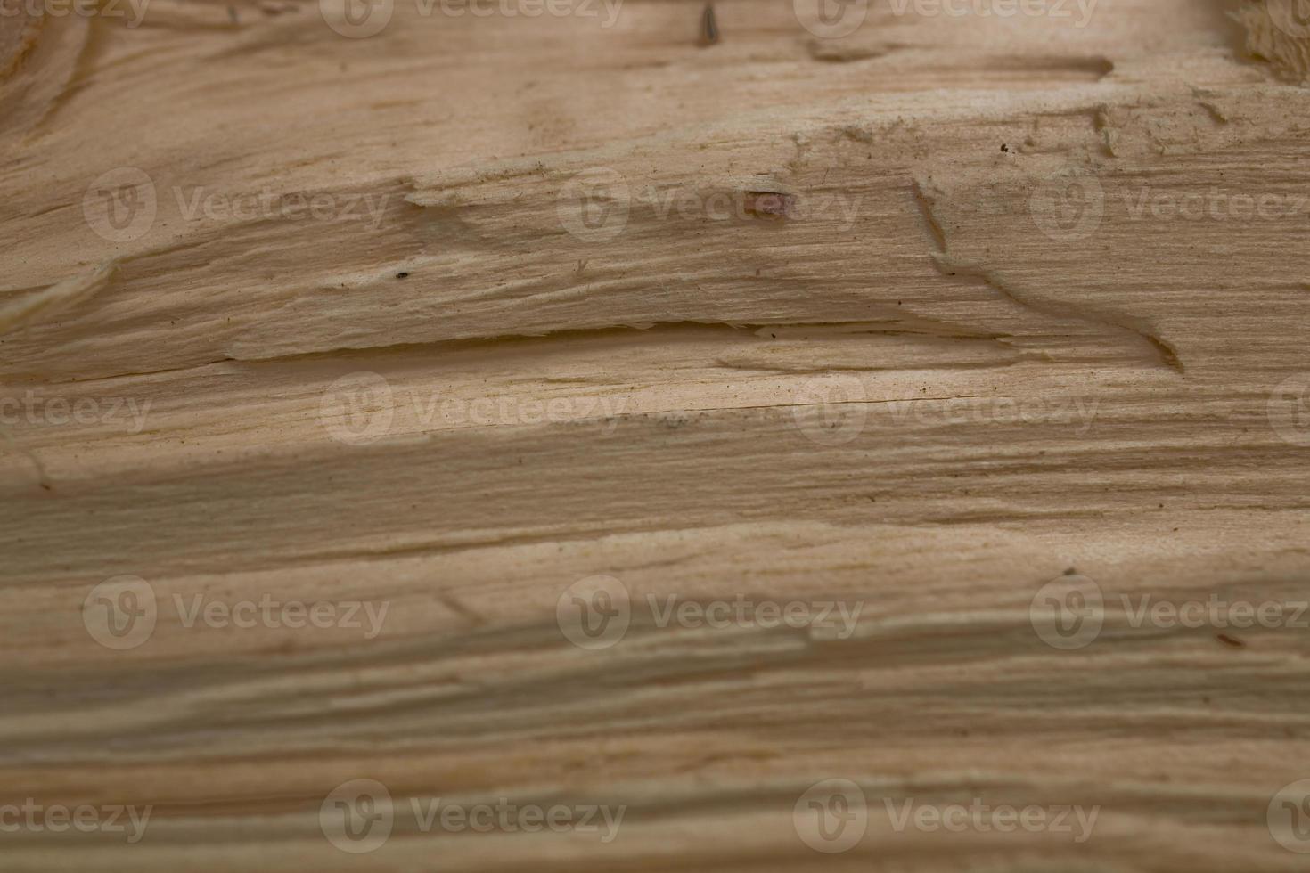 Tree trunk after being cut, background photo