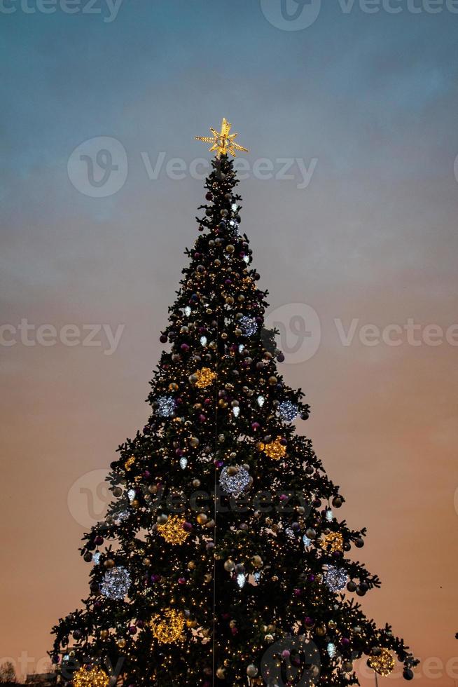 colorful Christmas tree shimmering against the background of the evening pastel sky photo