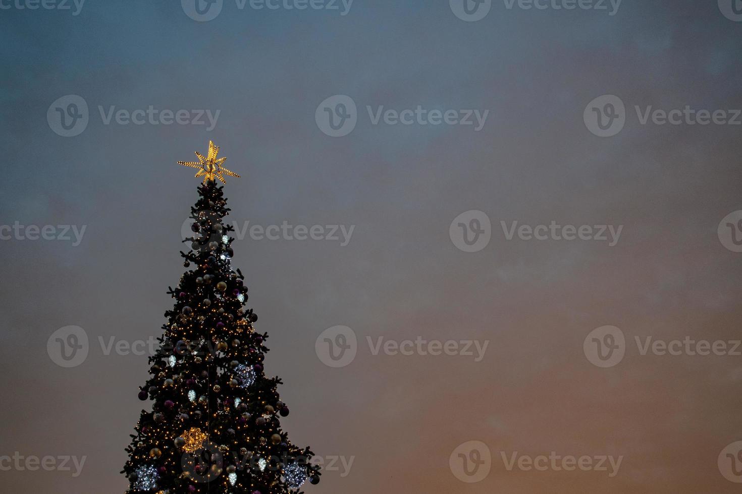 colorful Christmas tree shimmering against the background of the evening pastel sky photo