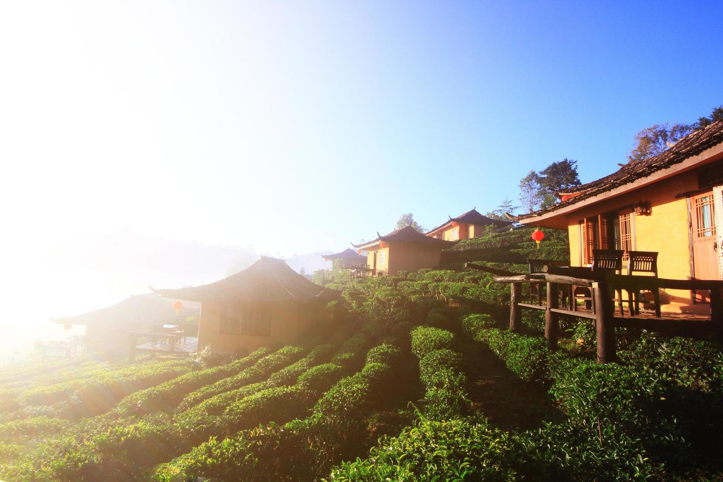 Beautiful resort and vallage is Chinese style with Tea Plantation in mist and sunrise shining on the mountain at Ban Rak Thai, Mae Hong Son province, Thailand. photo