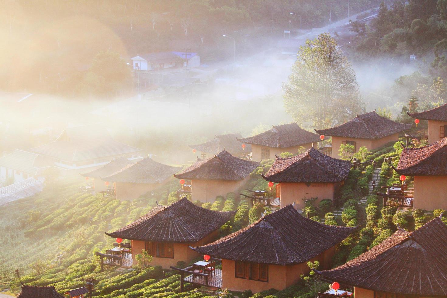 Beautiful resort and vallage is Chinese style with Tea Plantation in mist and sunrise shining on the mountain at Ban Rak Thai, Mae Hong Son province, Thailand. photo