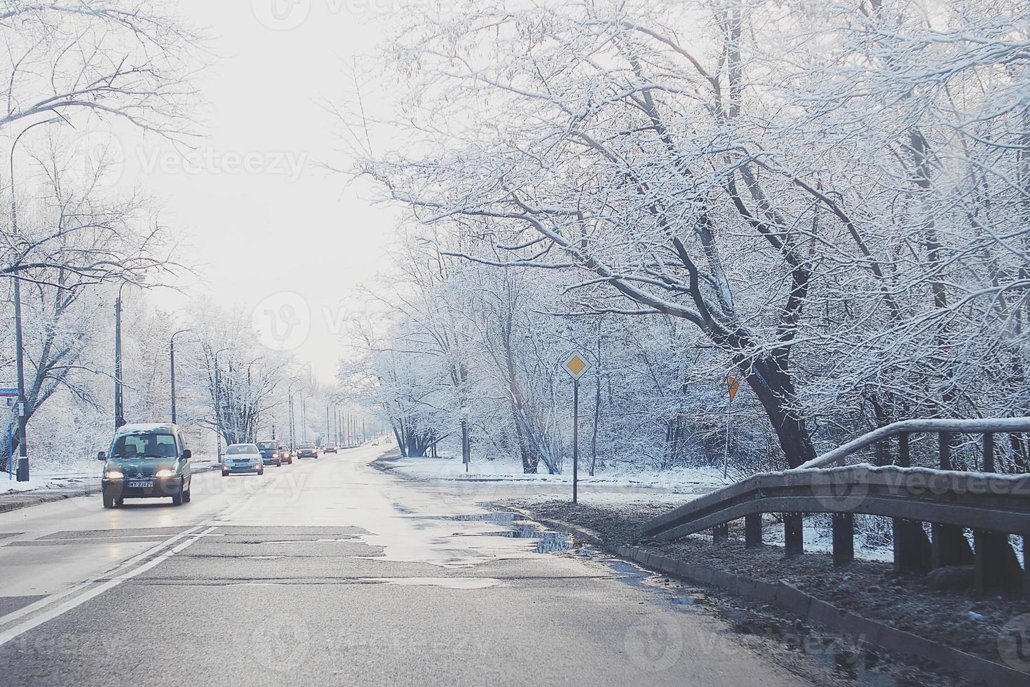 winter landscape with fresh snow and trees photo