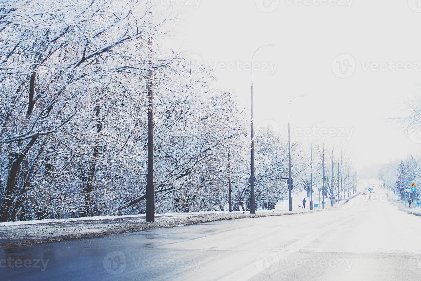 invierno paisaje con Fresco nieve y arboles foto