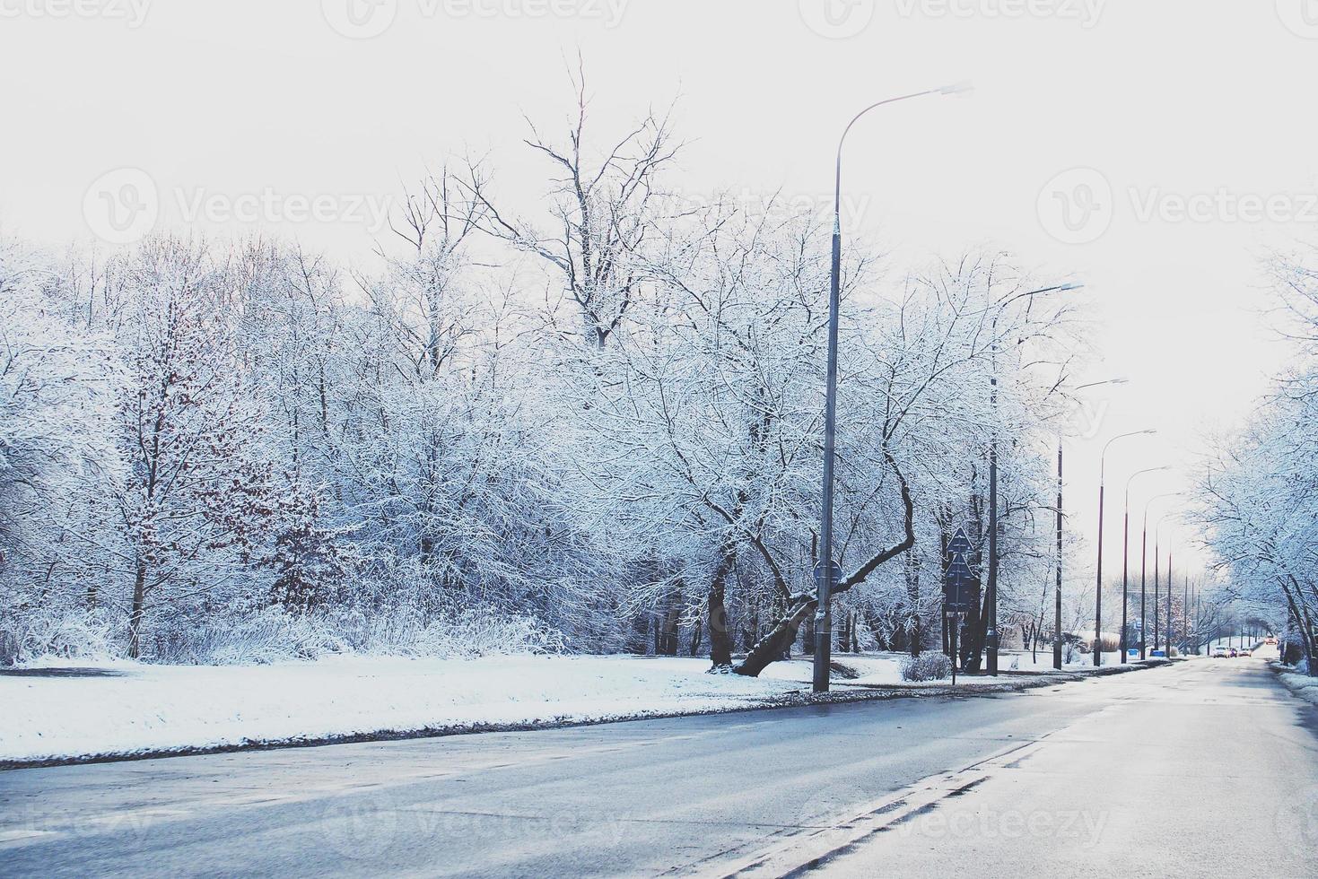 invierno paisaje con Fresco nieve y arboles foto