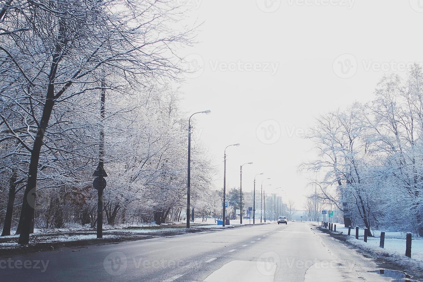 invierno paisaje con Fresco nieve y arboles foto