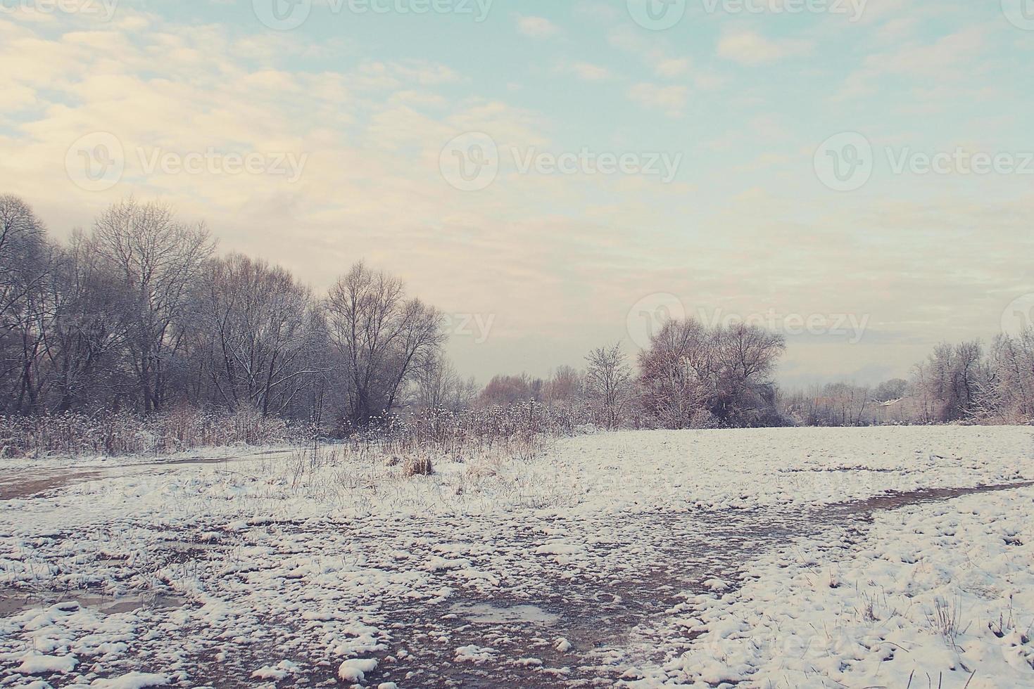 winter landscape with fresh snow and trees photo