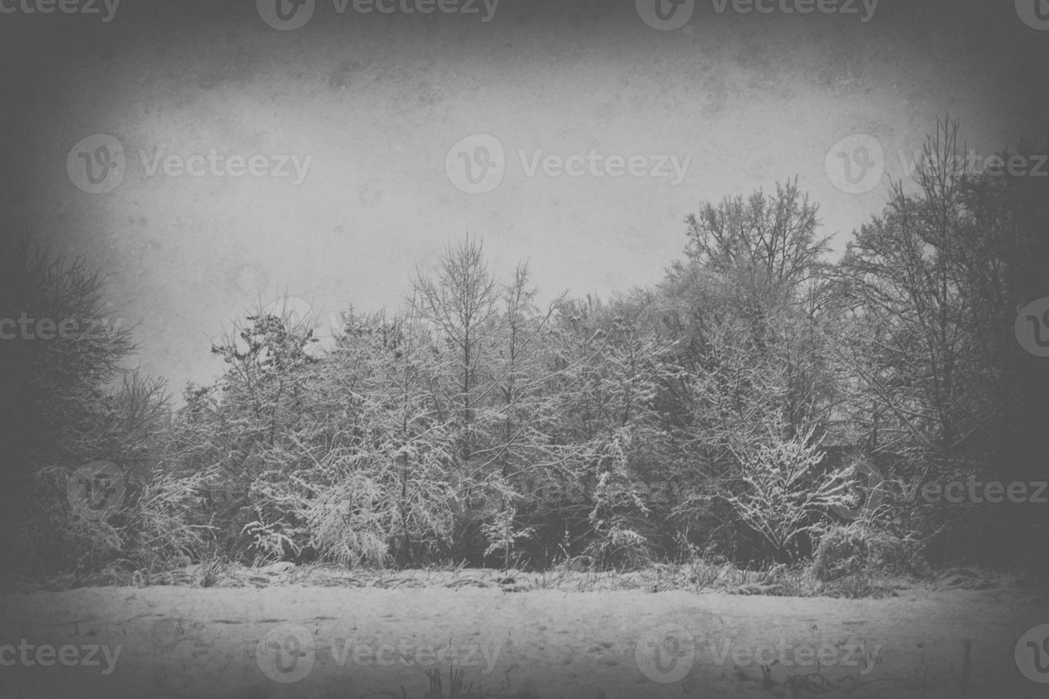 sad, empty, lonely, morning, with the road and snow at the beginning of winter photo
