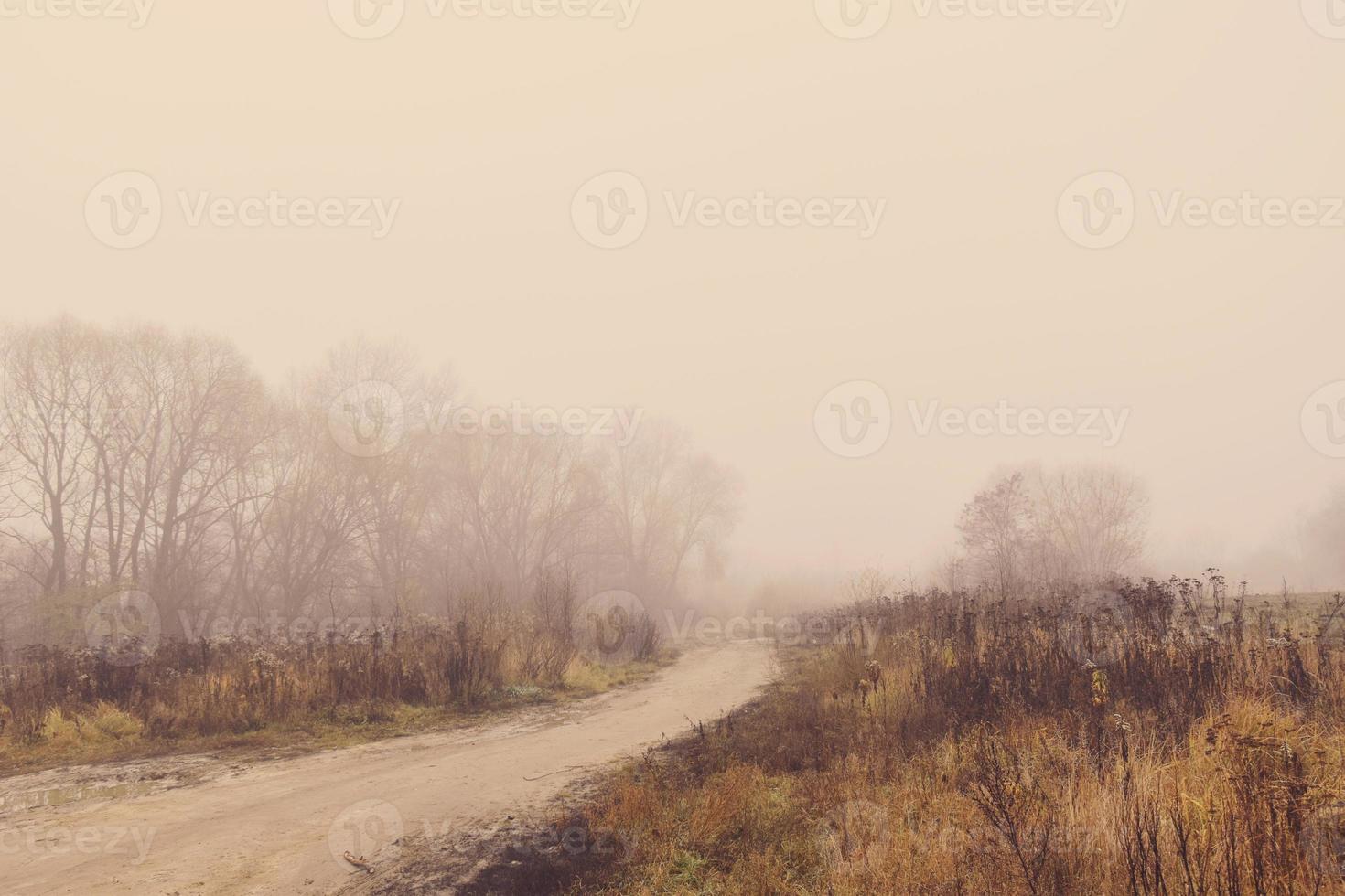 sad empty  foggy autumn morning with road and trees photo