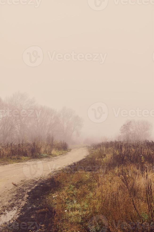 triste vacío brumoso otoño Mañana con la carretera y arboles foto