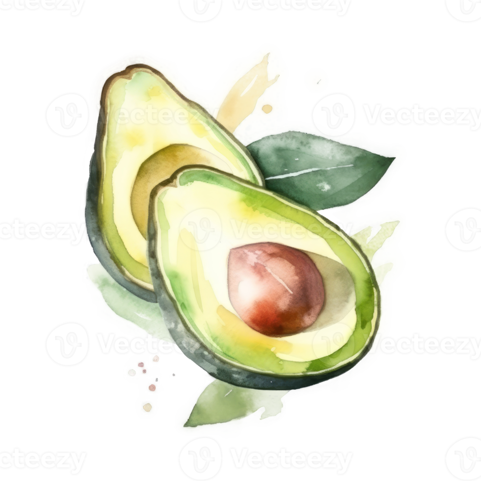 acquerello avocado isolato png