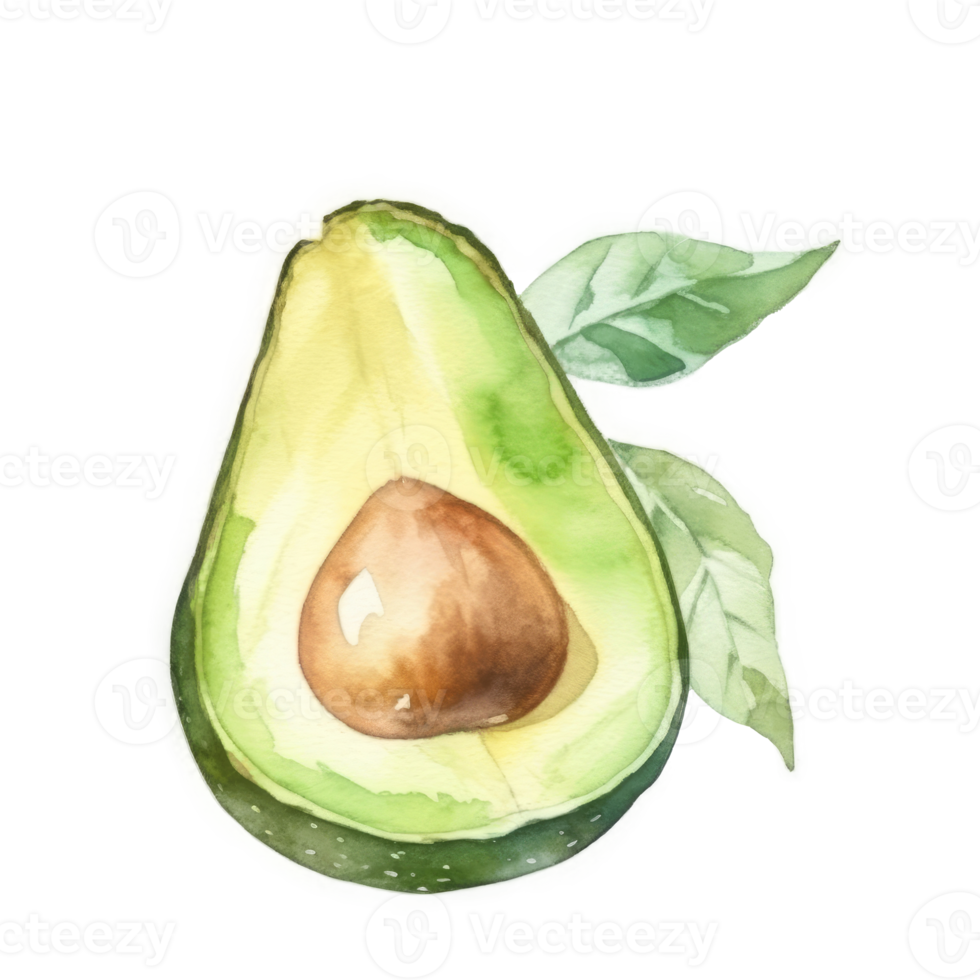 Watercolor Avocado isolated png