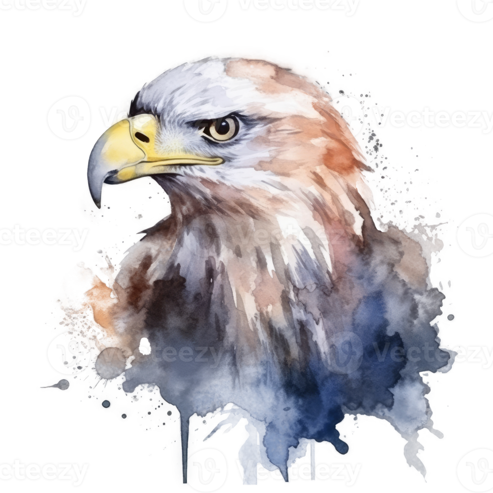 Watercolor eagle isolated. png