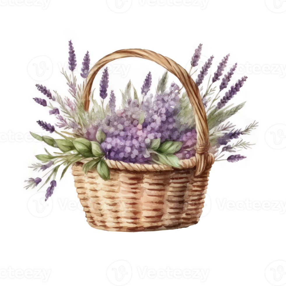 Watercolor lavender flowers in basket. png