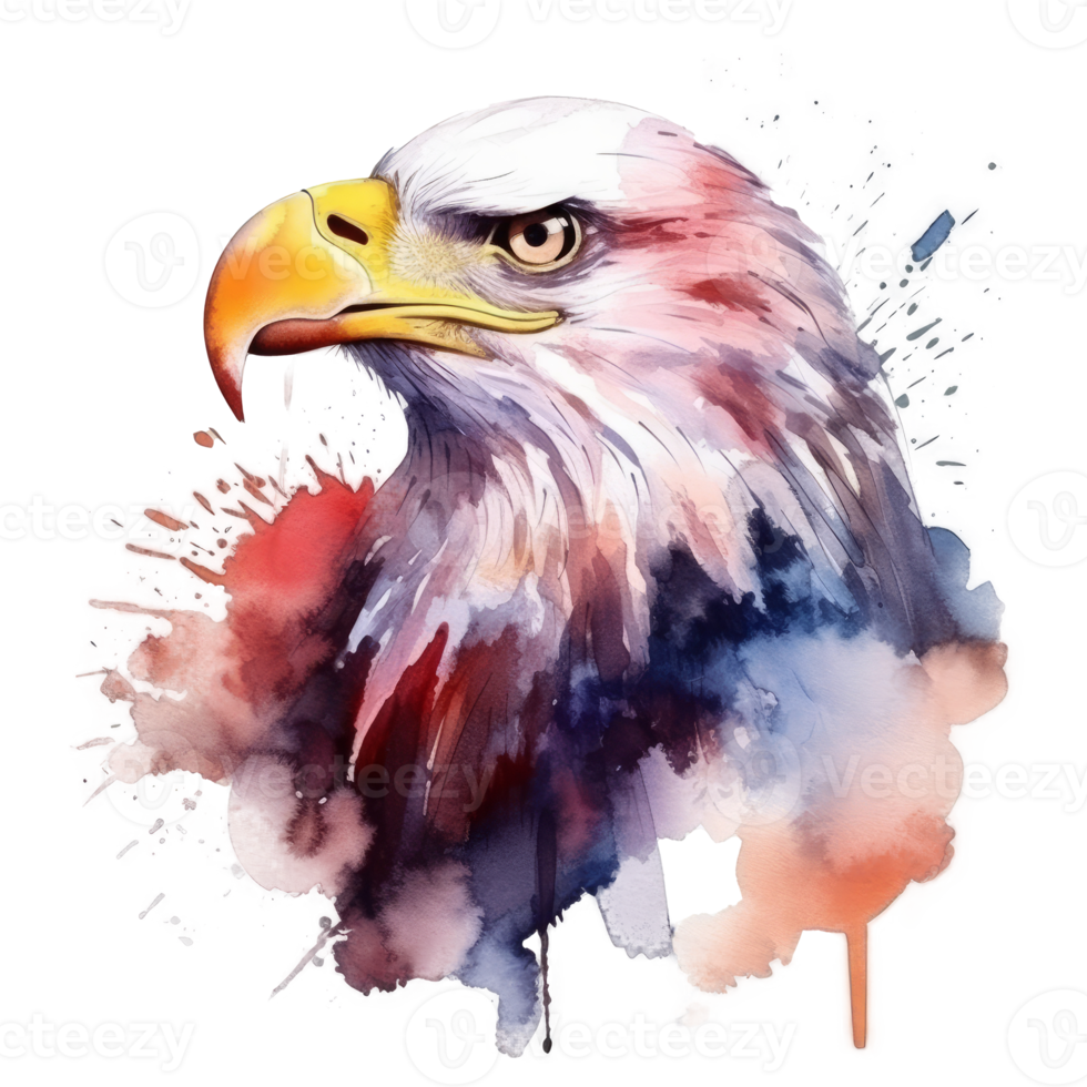 Watercolor eagle isolated. png