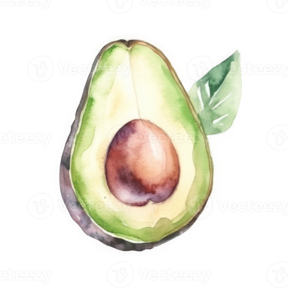 acquerello avocado isolato png