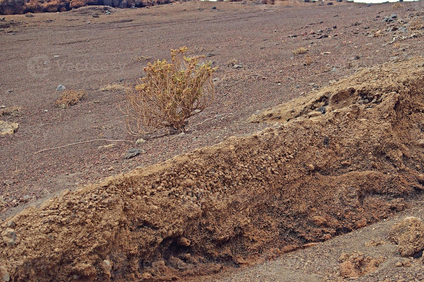 orignal volcanic landscapes from the Spanish island of Lanzarote photo