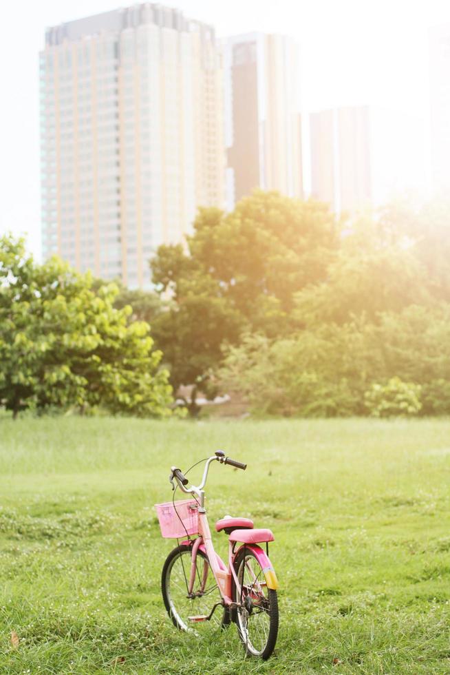 Vintage pink bike parking on grass field in garden with beautiful natural sunlight photo