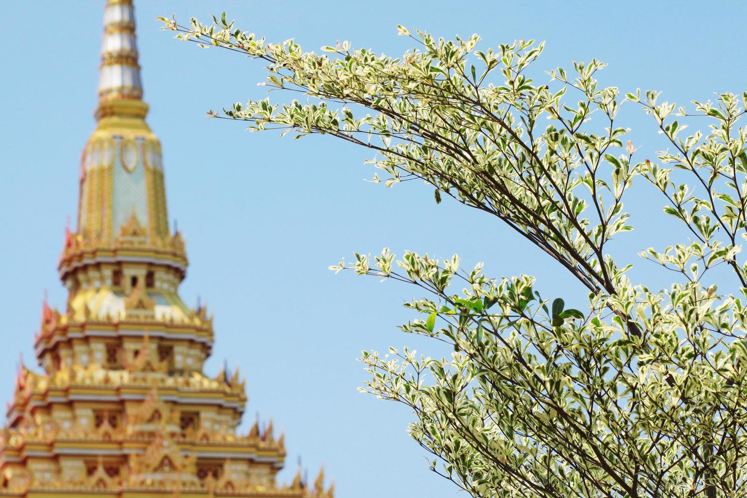 Fresh green leave branch and beautiful golden pagoda in temple at Thailand photo