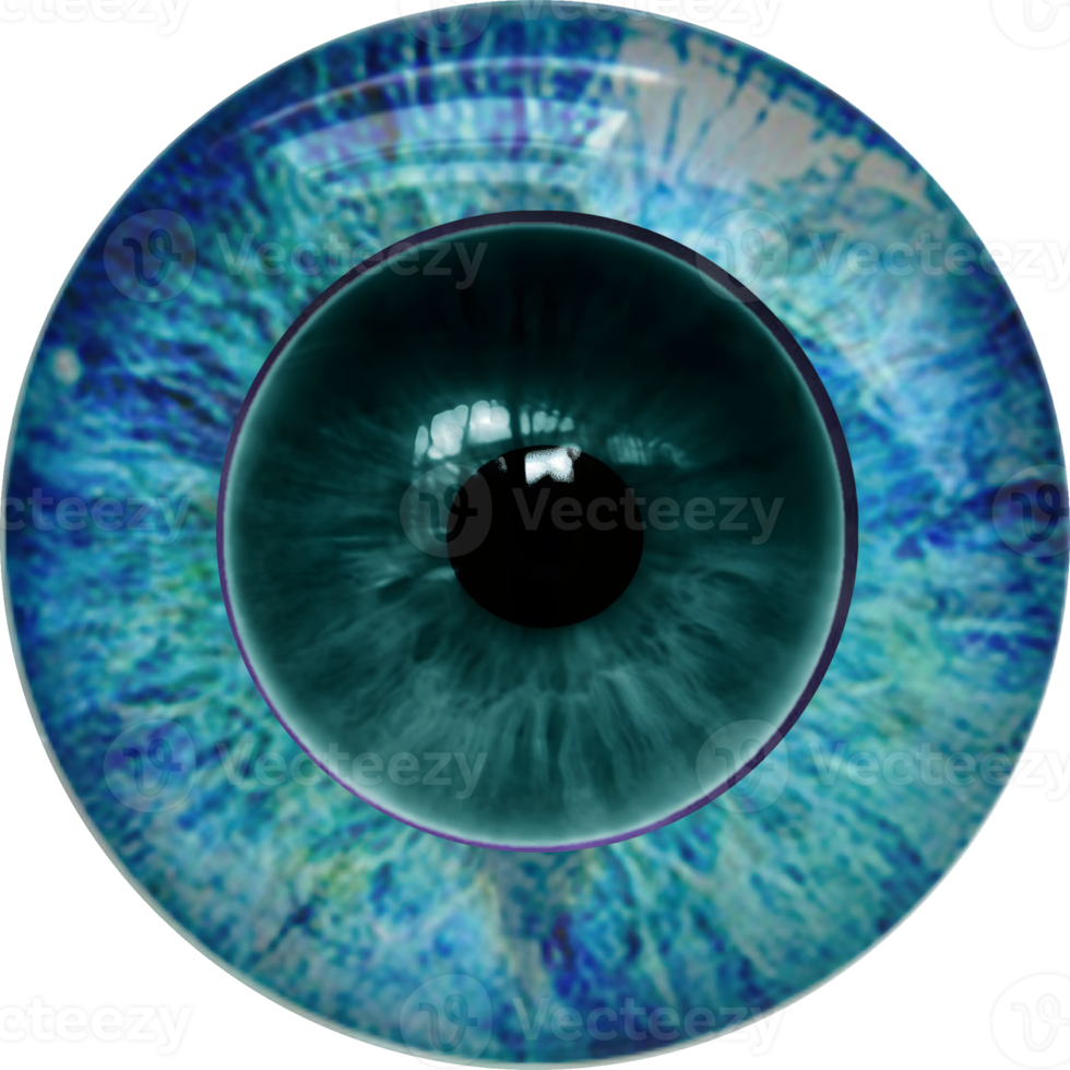 Eye, pupil, iris . Fantasy icon. toys eye. png