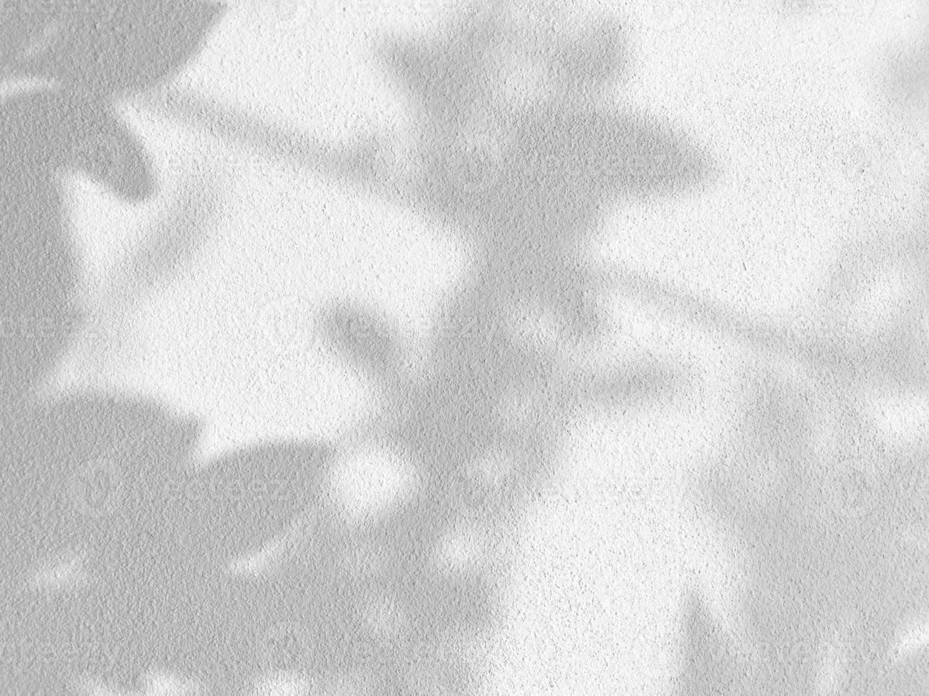 Seamless texture of white cement wall a rough surface and leaf shadow, with space for text, for a background photo
