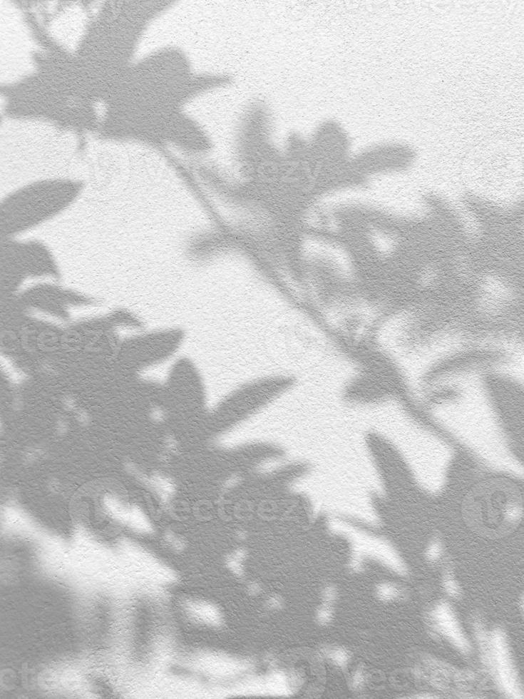 textura transparente de pared de cemento blanco una superficie áspera y sombra de hoja, con espacio para texto, para un fondo foto