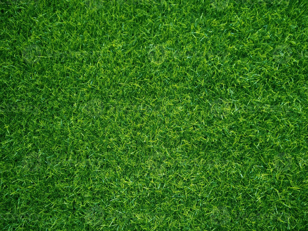 Green grass texture background grass garden concept used for making green background football pitch, Grass Golf, green lawn pattern textured background... photo