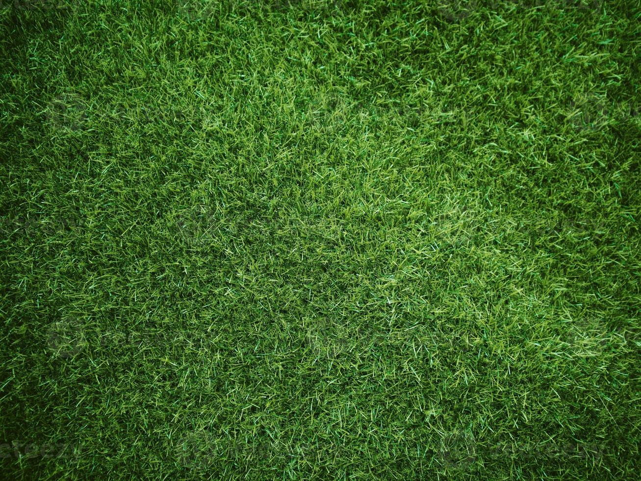 Green grass texture background grass garden concept used for making green background football pitch, Grass Golf, green lawn pattern textured background... photo