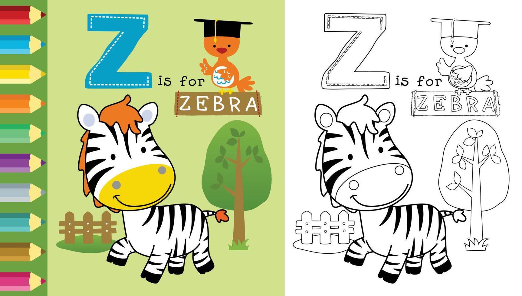 Cartoon of funny zebra with scholar bird, coloring book or page vector