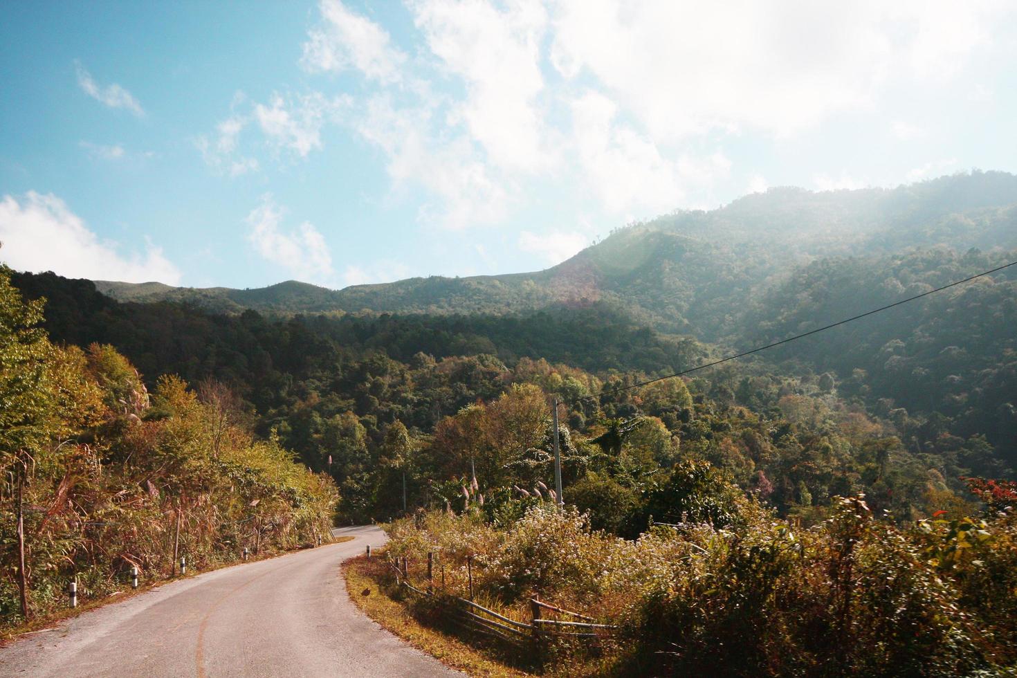 amarillo firmar etiqueta advertencia de curva la carretera en el montaña en Tailandia foto