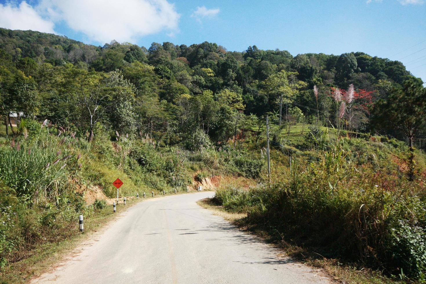 amarillo firmar etiqueta advertencia de curva la carretera en el montaña en Tailandia foto