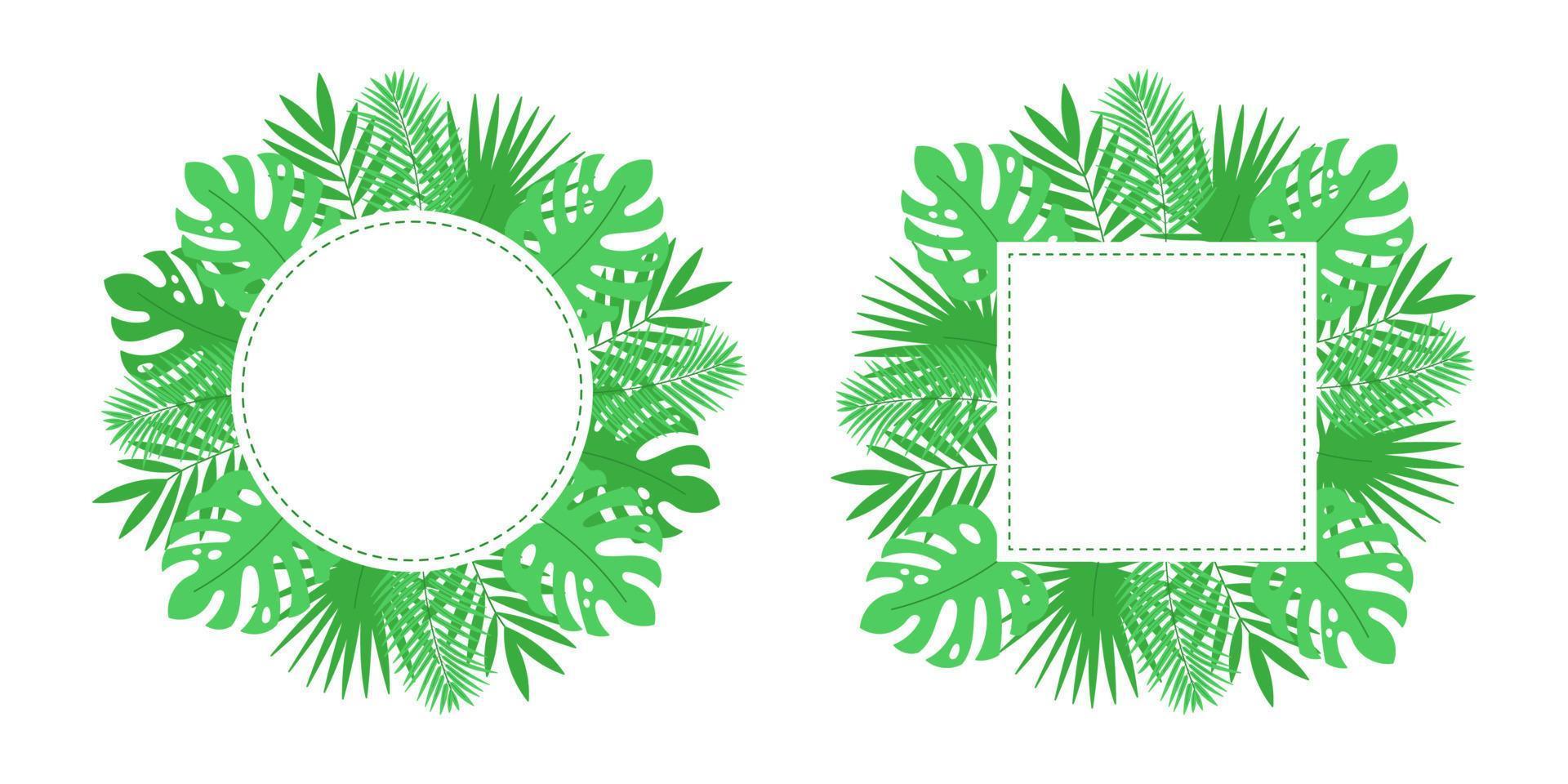 Green palm and monstera leaves. Exotic tropical frame border. Cartoon vector illustration.