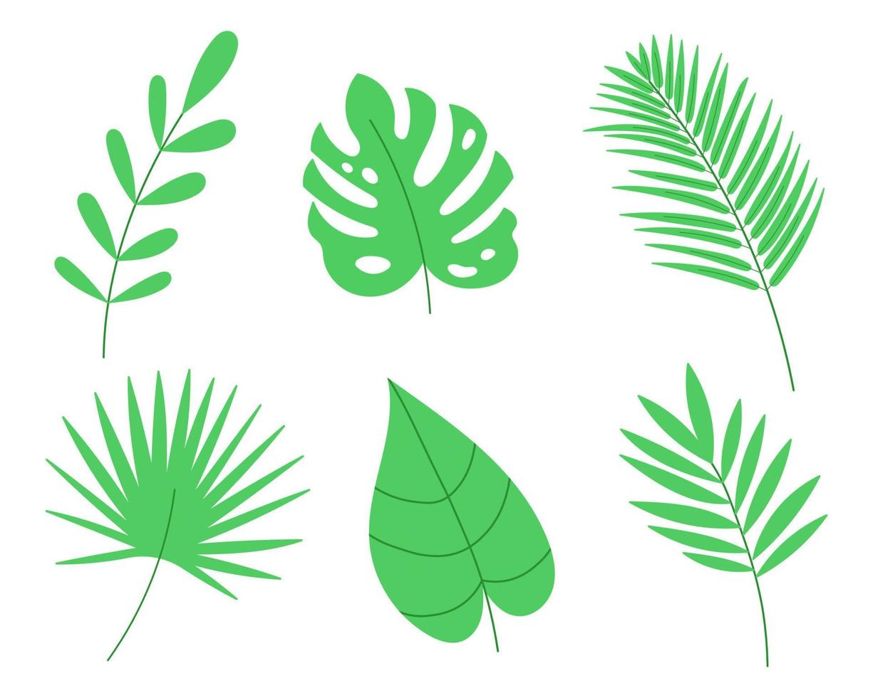 Tropical palm leaves set. Cartoon vector illustration.